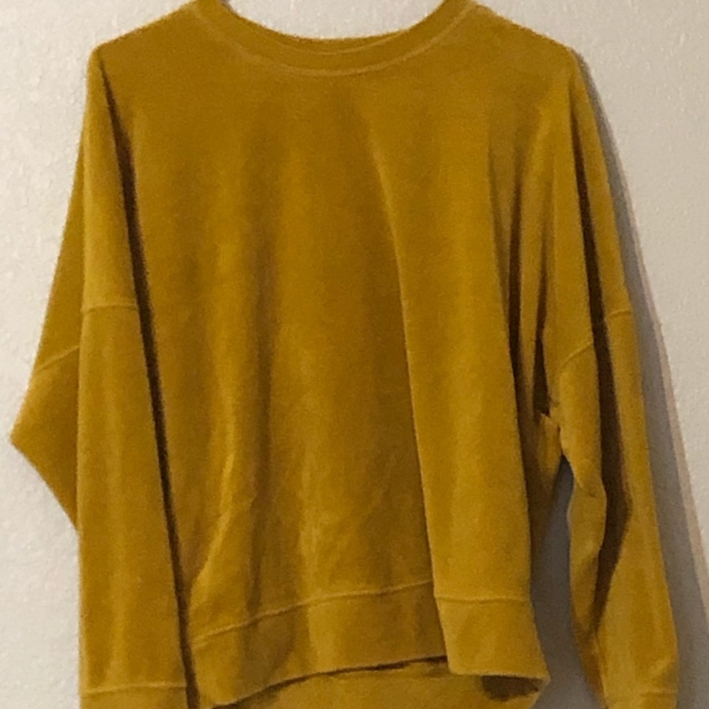 Velour Sweatshirt, Golden Aerie for American Eagle